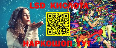 a pvp Камышлов