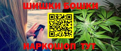 шишки Кандалакша