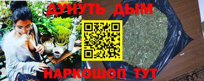шишки Кандалакша