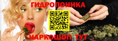 шишки Кандалакша