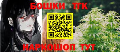 a pvp Камышлов