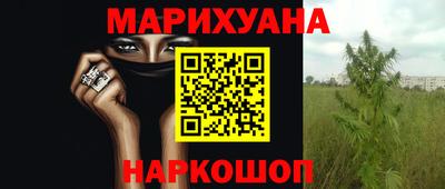 шишки Кандалакша