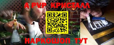 a pvp Камышлов