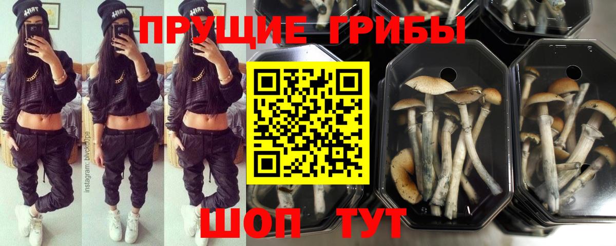 Марихуана  Мирный  ЭКСТАЗИ  Кокаин  ГАШ  Меф МЯУ МЯУ кристаллы  COCAIN  Вход с VPN 
